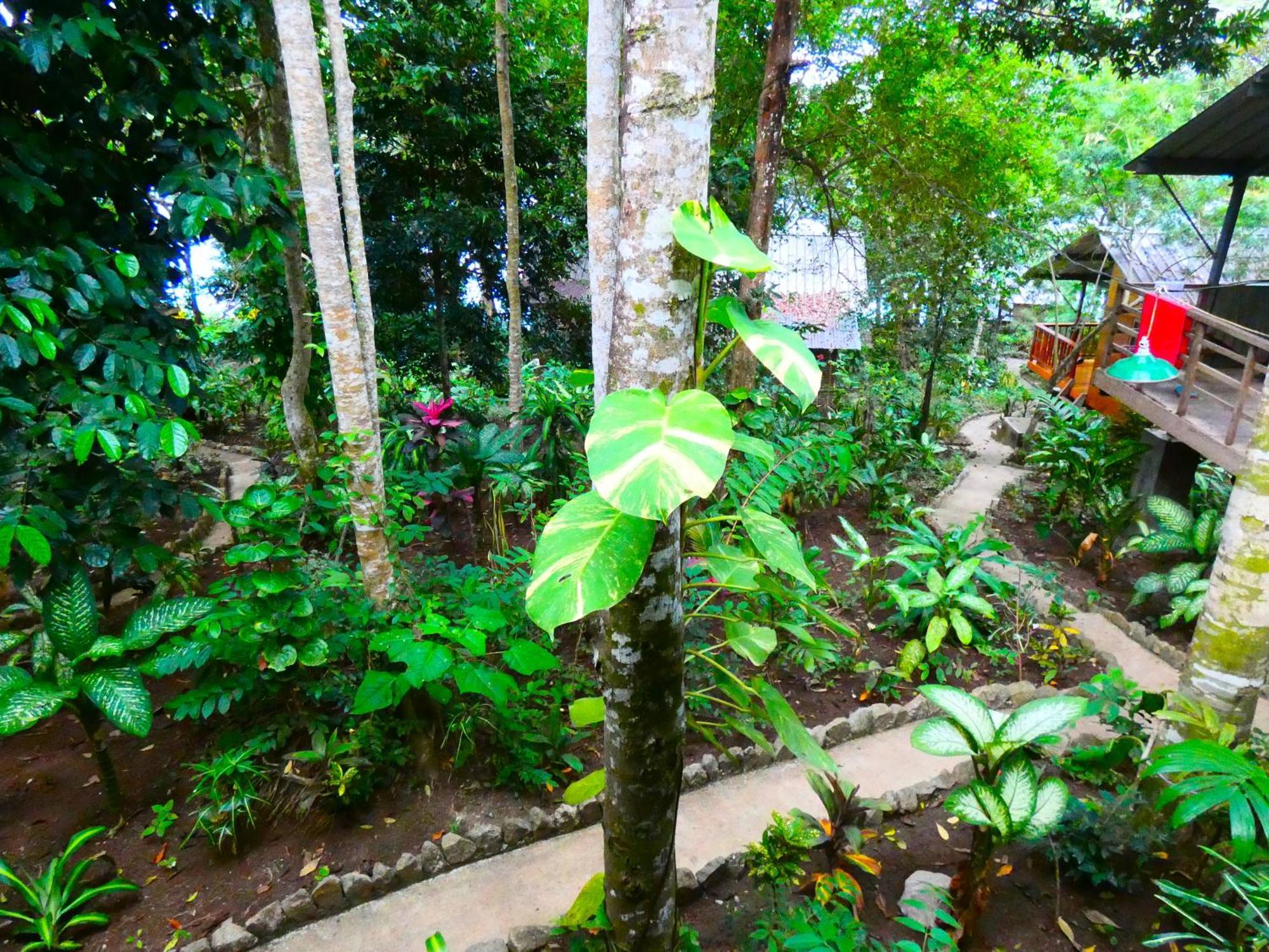 Santi Garden Bungalows Iboih エクステリア 写真
