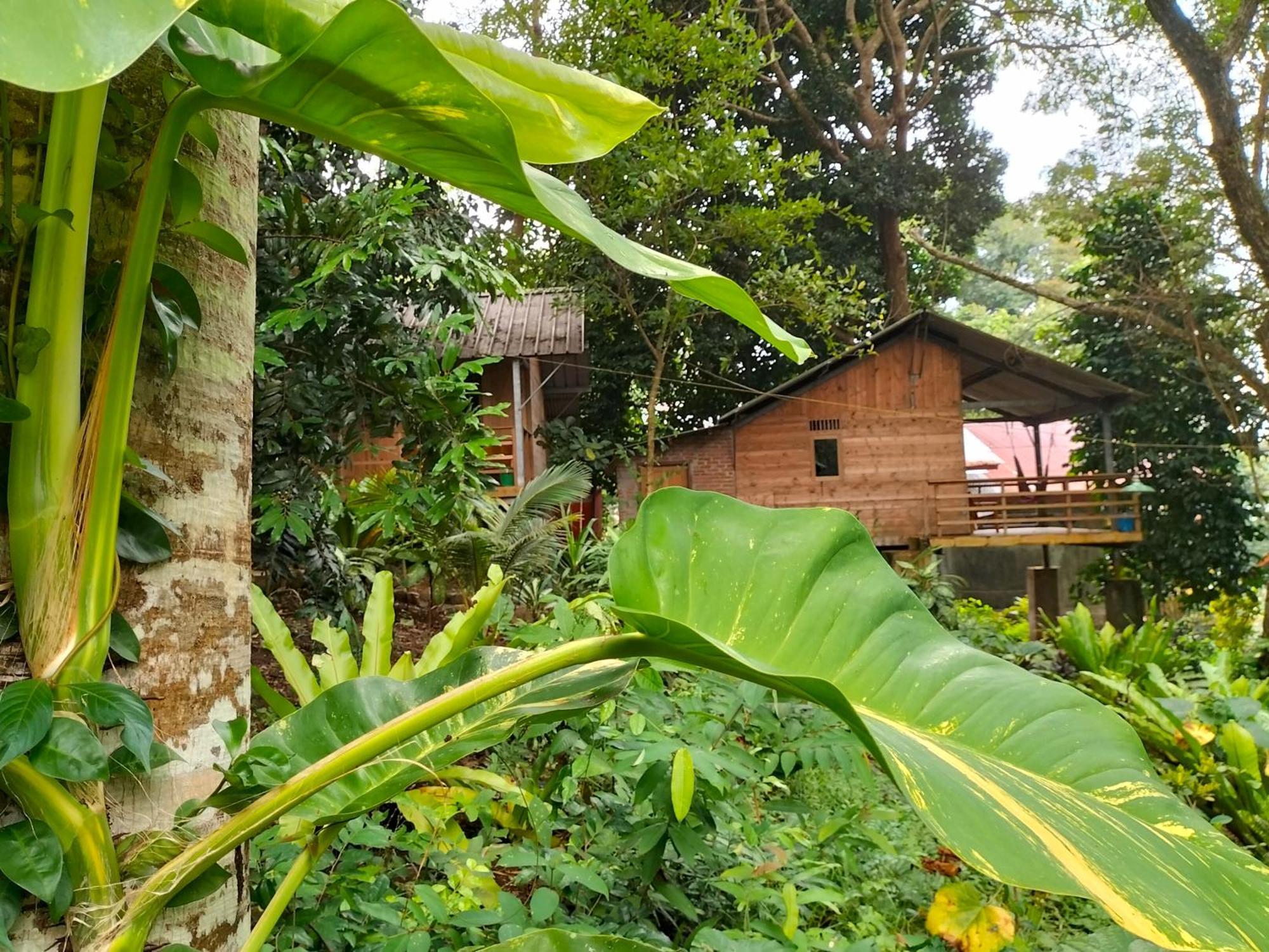 Santi Garden Bungalows Iboih エクステリア 写真
