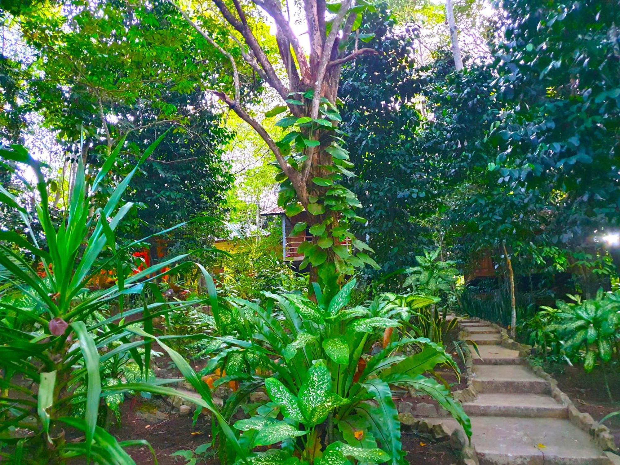 Santi Garden Bungalows Iboih エクステリア 写真